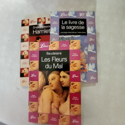 Produit 703329