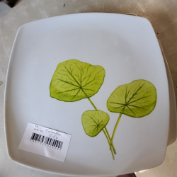 Produit 703809