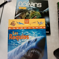 Produit 704332